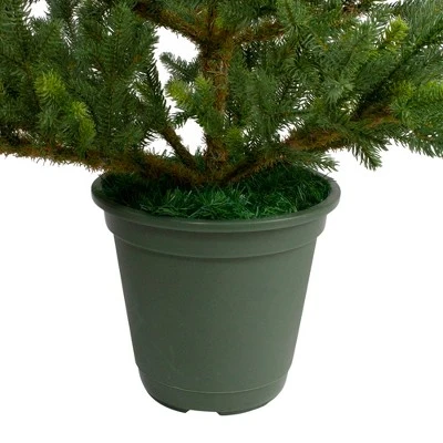 Northlight 4' Potted Noble Pine Artificial Christmas Tree - Unlit 6 Northlight 4' Potted Noble Pine Artificial Christmas Tree - Unlit - Image 4