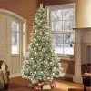 Puleo 7.5' Pre-Lit LED Full Carolina Pine Artificial Christmas Tree White Lights -Northlight Christmas Store GUEST 72847606 c847 4591 906f 1868db83f35e