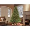 6.5ft Pre-lit Forest Fir Artificial Christmas Tree - Puleo -Northlight Christmas Store GUEST 731b3247 22a1 4b67 8220 9de91d3c690f