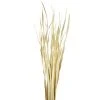 Vickerman Rush Grass, Dried 7oz -Northlight Christmas Store GUEST 73bbed01 f620 4add b7ad 6b064b84cc5b