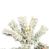 Vickerman Flocked Pacific Pencil Pine Artificial Christmas Tree -Northlight Christmas Store GUEST 761a1387 4a0b 471c 9c5c bd0014eea041