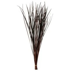 Vickerman 28" Splinter Grass, 11oz Dried -Northlight Christmas Store GUEST 7954125b c6f3 4bb6 b08c 08a3cd38599c