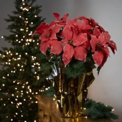 Northlight 20" Dark Pink Artificial Christmas Poinsettia with Gold Wrapped Base
