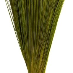 Vickerman Bright Grass, Dried -Northlight Christmas Store GUEST 7a5ccd48 4f34 4555 9456 b51be5ed3756