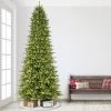 9ft Pre-lit Full Artificial Christmas Tree Forest Fir - Puleo -Northlight Christmas Store GUEST 7b7d8edf 6317 45fb ab8a 038baf702bcb