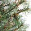Northlight 2' Unlit Artificial Christmas Tree Country Mixed Pine -Northlight Christmas Store GUEST 7b89f4a5 a505 4c3a 9541 68d4bef4dc6d