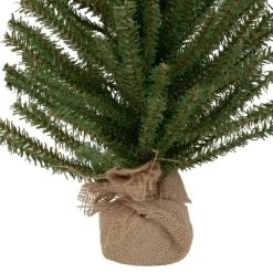 Northlight 18" Traditional Scottsdale Mini Pine Artificial Christmas Tree with Burlap, Unlit -Northlight Christmas Store GUEST 7b93a201 fdf3 4a1a bb4c b442523fac87 1