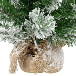 Northlight 22" Flocked Pine Full Artificial Christmas Tree in Burlap Base - Unlit -Northlight Christmas Store GUEST 7bb74b0d dfaa 45e4 be12 413e3675abdc
