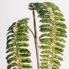 Vickerman Green Fern Glitter Aritificial Christmas Spray 1 Vickerman Green Fern Glitter Aritificial Christmas Spray -Northlight Christmas Store GUEST 7daeacc2 75ad 4c14 8d8c 75e1282d8b0d