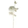 Northlight 26.5" White/Metallic Gold Rose Artificial Spring Stem -Northlight Christmas Store GUEST 7f2b1f14 8f45 4efe 9ba8 504a0e34b508