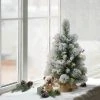 2ft Puleo Pre-Lit Flocked Tabletop Artificial Christmas Tree with Pine Cones Clear Lights