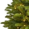 Nearly Natural Pre-Lit LED Sierra Spruce Artificial Christmas Tree Clear Lights -Northlight Christmas Store GUEST 805ee06f c1d7 4562 a1f4 3a3d1f178604