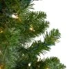 Northlight 2' Pre-Lit Medium Canadian Pine Artificial Christmas Tree - Clear Lights -Northlight Christmas Store GUEST 818194bb c8d0 494e 89b4 336a70d619f3