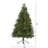 5ft Nearly Natural Pre-Lit LED Grand Teton Spruce Flat Back Artificial Christmas Tree Clear Lights -Northlight Christmas Store GUEST 841aca17 4175 40cc 9073 09a140ce1245