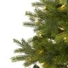 Nearly Natural Pre-Lit LED North Carolina Spruce Artificial Christmas Tree Clear Lights 1 Nearly Natural Pre-Lit LED North Carolina Spruce Artificial Christmas Tree Clear Lights -Northlight Christmas Store GUEST 842c94ba 99fb 4760 8090 a099fcf8ec54