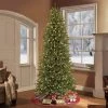 7.5ft Pre-lit Artificial Christmas Tree Forest Fir - Puleo -Northlight Christmas Store GUEST 8673df03 69f7 441f b015 6a0dd5464d00