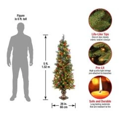 National Tree Company 5 ft Pre-Lit Artificial Entrance Christmas Tree, Green, Crestwood Spruce, White Lights, Frosted Branches, Pot Base -Northlight Christmas Store GUEST 86bd7325 fad1 4e63 a2e7 2b7e12e6462f