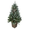 Northlight 4' Pre-Lit Frosted Mixed Berry Pine Artificial Christmas Tree in Pot - Clear Lights -Northlight Christmas Store GUEST 86c65c13 8adc 4907 a0ef bf018920b5fa