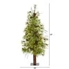 4ft Nearly Natural Pre-Lit LED Wyoming Alpine with Pinecones Artificial Christmas Tree Clear Lights -Northlight Christmas Store GUEST 8820e10e 61f1 4808 9031 7685a32d1f62