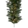 Vickerman Artificial Douglas Fir Collection -Northlight Christmas Store GUEST 8925496e 1ff6 4a35 be84 af1d1630a396