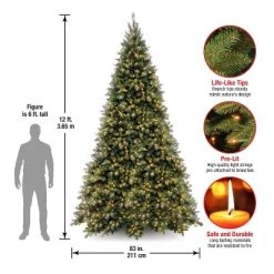 National Tree Company 12 ft Pre-Lit Artificial Giant Medium Christmas Tree, Green, Tiffany Fir, White Lights, Includes Stand -Northlight Christmas Store GUEST 8ba9c7c1 9796 4e67 8fb9 c6e7eaf9db94