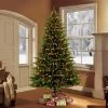 7.5ft Pre-lit LED Artificial Christmas Tree Full Forest Fir - Puleo -Northlight Christmas Store GUEST 8bb4c19c 3272 418f b7c6 bcba2f2bb8c9