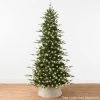 Best Choice Products Pre-Lit Artificial Aspen Noble Fir Christmas Tree w/ Branch Tips, LED Lights -Northlight Christmas Store GUEST 8ca71cd8 b2e5 45f0 814d 0885495520e3