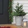 20" Pre-lit LED Battery Operated Mixed Pine Christmas Artificial Pot Filler Warm White Lights - Wondershop™ -Northlight Christmas Store GUEST 8dc5022d d693 44e3 bc72 c2ca704d3d97