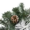 Northlight 26" Unlit Frosted Pinecone and Berry Artificial Christmas Swag
