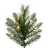 Vickerman Artificial Jackson Pine Christmas Tree -Northlight Christmas Store GUEST 8f0d9933 6d71 499f 99ec b995c53d2979