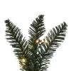 Vickerman Artificial Camdon Fir Collection -Northlight Christmas Store GUEST 903de914 a7da 4b66 b10e d4abc476f549