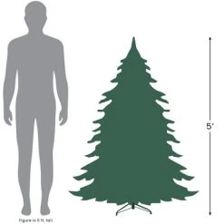 Northlight 5' Canadian Pine Medium Artificial Christmas Tree, Unlit 9 Northlight 5' Canadian Pine Medium Artificial Christmas Tree, Unlit -Northlight Christmas Store GUEST 91171d67 9db9 4707 893b cc6c8b35d0e3 1