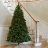 National Tree Company Unlit Full North Valley Spruce Hinged Artificial Christmas Tree 2 National Tree Company Unlit Full North Valley Spruce Hinged Artificial Christmas Tree -Northlight Christmas Store GUEST 9146afdb a924 4ce6 85d0 f3db0434e882