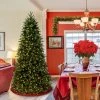 6.5ft Pre-lit Slim Jersey Fraser Fir Artificial Christmas Tree Clear Lights - National Tree Company -Northlight Christmas Store GUEST 91bc3f63 e802 4cca b7b3 5e538e6c4287