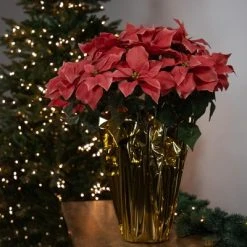 Northlight 28" Dark Pink Artificial Christmas Poinsettia with Gold Wrapped Base