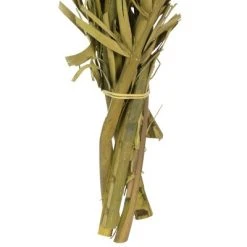 Vickerman 40-48" Twisted Coco Palm Stems, Dried -Northlight Christmas Store GUEST 952375e5 b8da 4f9f a3dc f74d0b371afb
