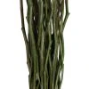 Vickerman 34-40" Moneta Branches, Dried 8oz 1 Vickerman 34-40" Moneta Branches, Dried 8oz -Northlight Christmas Store GUEST 95894cb0 bf2b 4807 ac52 7da2bd0d0790