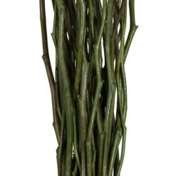 Vickerman 34-40" Moneta Branches, Dried 8oz