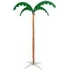 Vickerman Rope Light Palm Tree Palm -Northlight Christmas Store GUEST 9b0db308 6319 431a b98c 945666b4098e