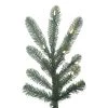 Vickerman Alberta Blue Spruce Artificial Christmas Tree 2 Vickerman Alberta Blue Spruce Artificial Christmas Tree -Northlight Christmas Store GUEST 9b291bbd 201c 4278 9211 36437124ba18