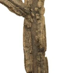 Vickerman Winged Elm Branches, Dried -Northlight Christmas Store GUEST 9bb7f9a6 bd21 4bc0 9cc5 cad72b7077e8