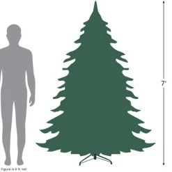 Northlight Real Touch™ Pre-Lit Artificial Altoona Pine Slim Christmas Tree - Clear Lights, 7' -Northlight Christmas Store GUEST 9cd28628 8963 4abd b1e9 95eac317d9a6