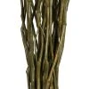Vickerman 34-40" Moneta Branches, Dried 16oz -Northlight Christmas Store GUEST 9d62a798 3d65 468d a1c3 ba572b46379b