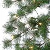 5ft Sterling Tree Company Flocked Alpine Tree Artificial Christmas Tree 2 5ft Sterling Tree Company Flocked Alpine Tree Artificial Christmas Tree -Northlight Christmas Store GUEST 9deadf34 58e8 4055 9e5f 09bd56365047
