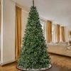 National Tree Company First Traditions Unlit Linden Spruce Artificial Christmas Tree -Northlight Christmas Store GUEST 9e055416 2253 46b8 afdd e8bcae1f5ca6