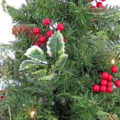 National Tree Company First Traditions 24" Pre-Lit Battery Operated Mixed Tip Holly Berry Table Top Artificial Christmas Tree Clear Lights 4 National Tree Company First Traditions 24" Pre-Lit Battery Operated Mixed Tip Holly Berry Table Top Artificial Christmas Tree Clear Lights - Image 2