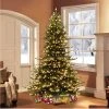7.5ft Puleo Pre-Lit Full Princess Pine Artificial Christmas Tree Clear Lights 1 7.5ft Puleo Pre-Lit Full Princess Pine Artificial Christmas Tree Clear Lights -Northlight Christmas Store GUEST 9ef62bc1 caae 4476 837a 1c0c3e8c95fc