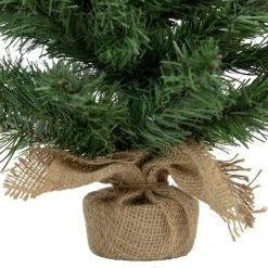 Northlight 18" Potted Mini Pine Medium Artificial Christmas Tree, Unlit 11 Northlight 18" Potted Mini Pine Medium Artificial Christmas Tree, Unlit -Northlight Christmas Store GUEST a006c83d a42a 4057 bc3c 6c8f9dea2aa6