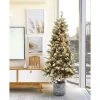 LuxenHome 5.6Ft Pre-Lit LED Artificial Slim Fir Christmas Tree with Pot 1 LuxenHome 5.6Ft Pre-Lit LED Artificial Slim Fir Christmas Tree with Pot -Northlight Christmas Store GUEST a18f1075 16e5 4bf5 bbc6 25b231a47ffe