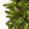 Nearly Natural 8' Pre-Lit LED Slim Virginia Spruce Artificial Christmas Tree Multifunctional Clear Lights -Northlight Christmas Store GUEST a24a19e4 3926 4361 989a 27a142842178